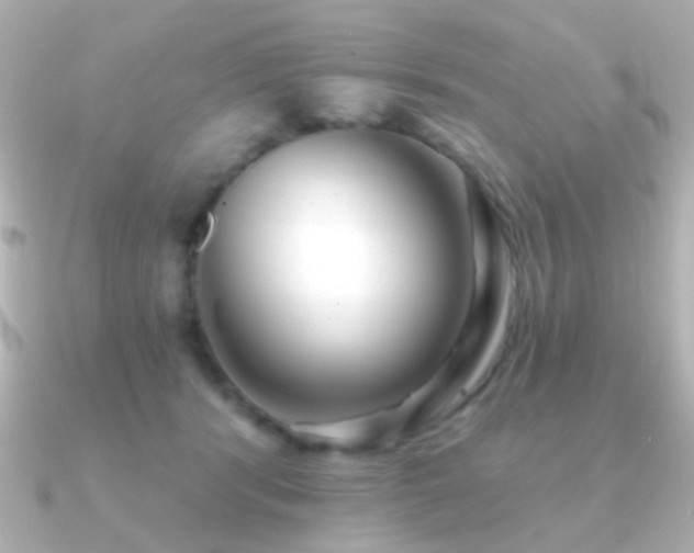 X0000091170416200708091208