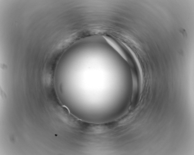 X0000091170417200708091208