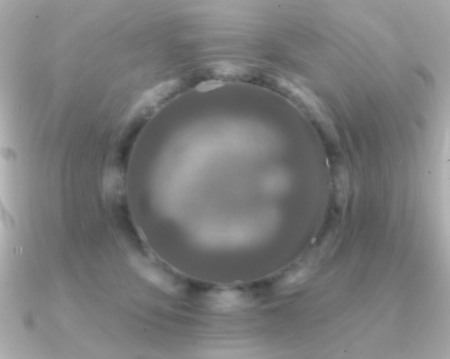 X0000091170419200708091208