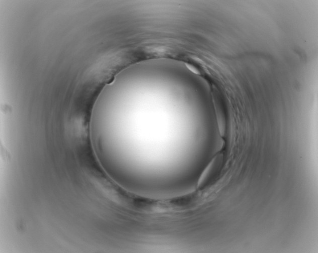 X0000091170420200708091208