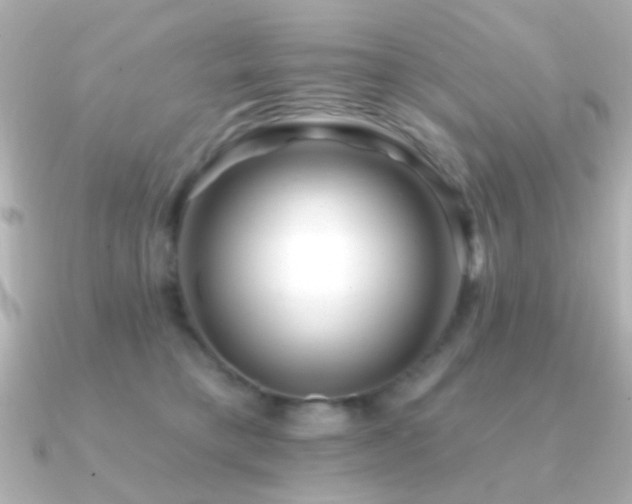 X0000091170421200708091208