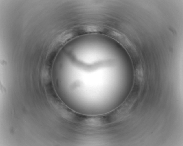 X0000091170422200708091208