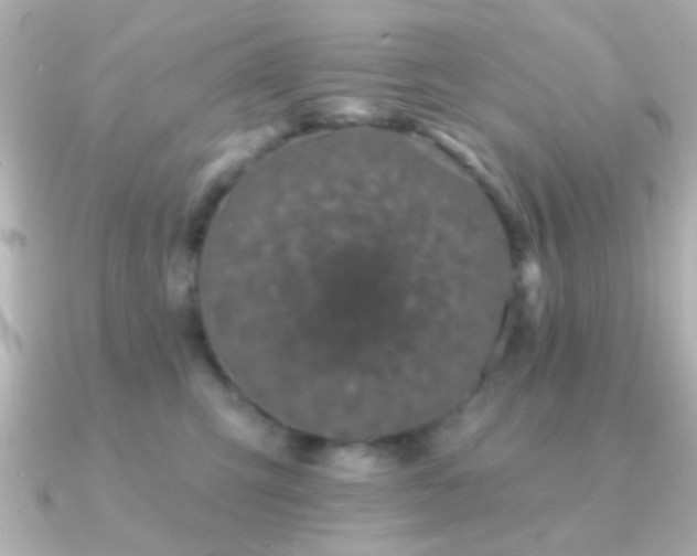 X0000091170423200708091208