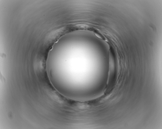 X0000091170424200708091208