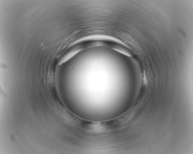 X0000091170425200708091208