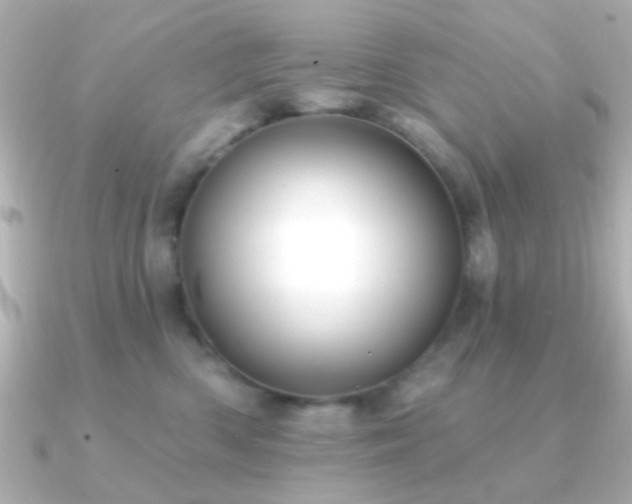 X0000091170426200708091208