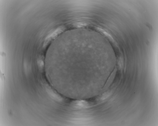X0000091170427200708091208