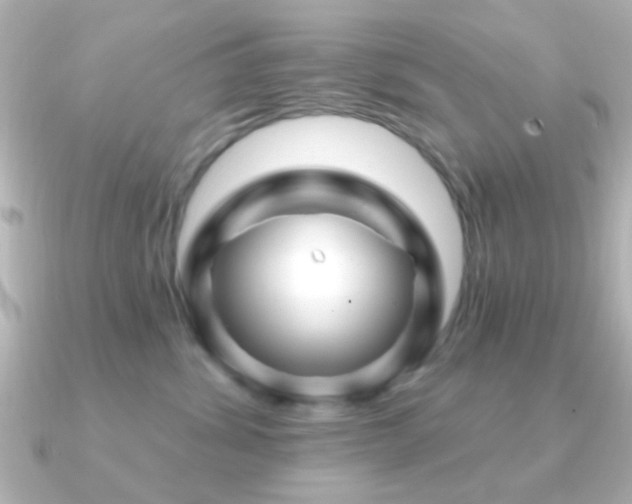 X0000091170428200708091207
