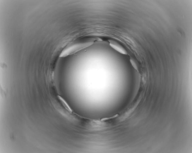 X0000091170429200708091207