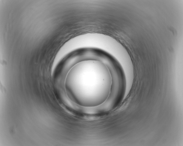 X0000091170432200708091207