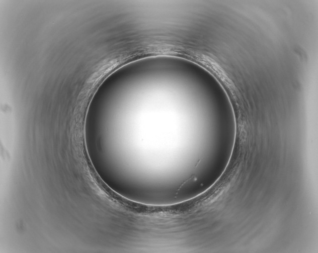 X0000091170433200708091207