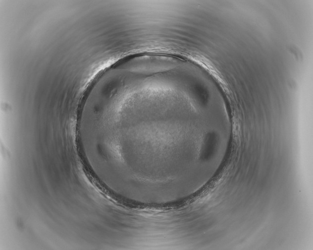 X0000091170434200708091207