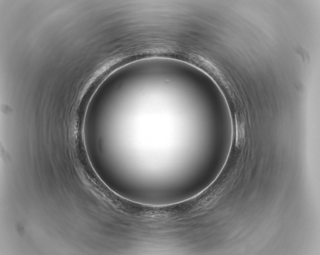 X0000091170435200708091207