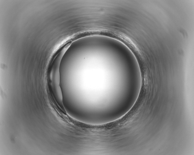 X0000091170436200708091207