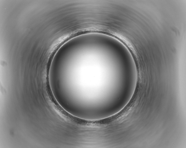 X0000091170437200708091207