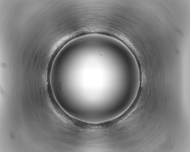 X0000091170438200708091207