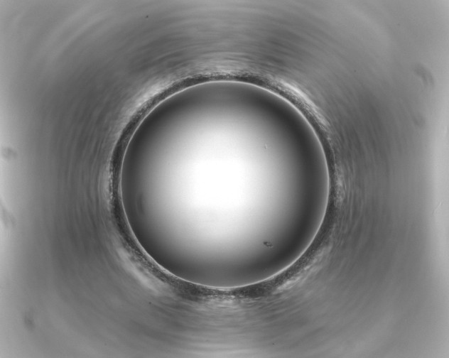 X0000091170439200708091207