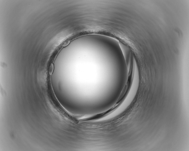 X0000091170440200708091207