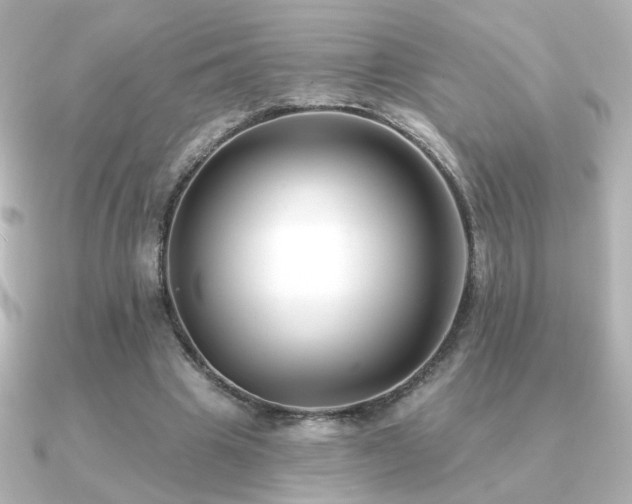X0000091170441200708091207