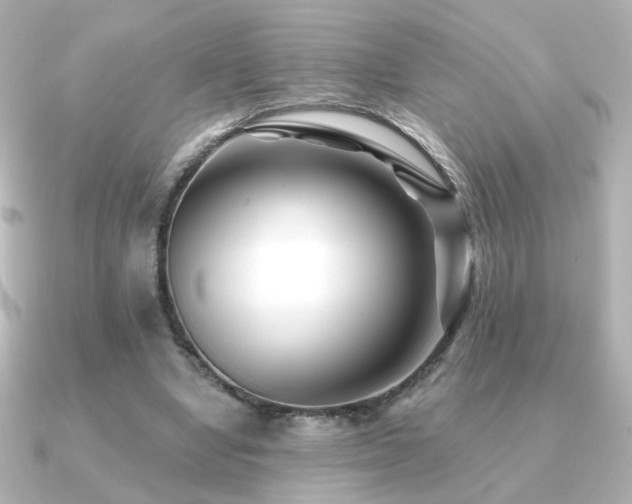 X0000091170442200708091207
