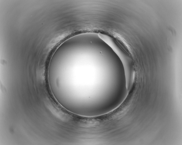 X0000091170443200708091207
