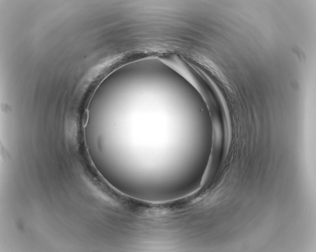 X0000091170444200708091207