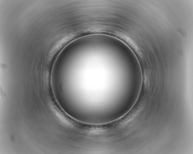 X0000091170445200708091207