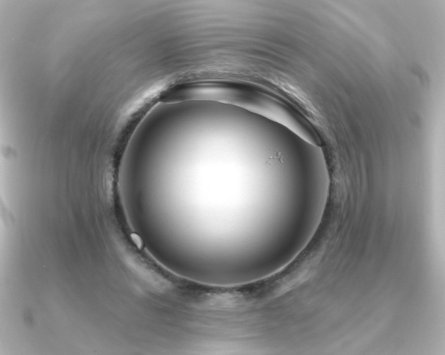 X0000091170446200708091207