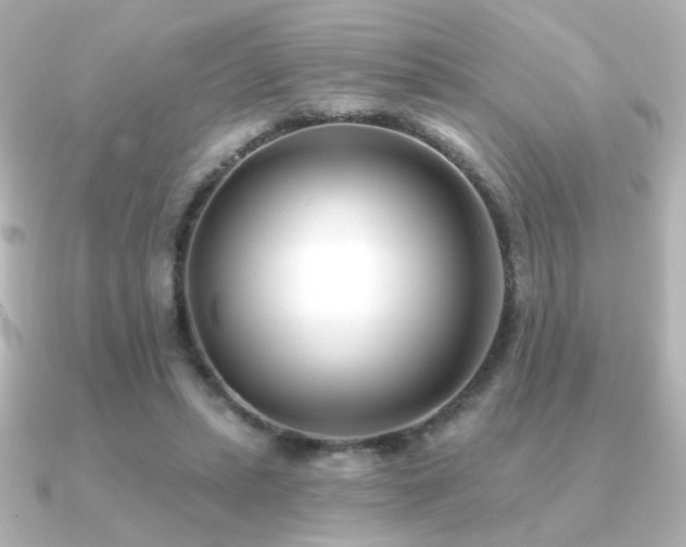 X0000091170447200708091207