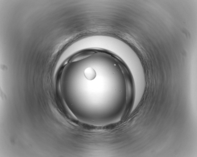 X0000091170448200708091207