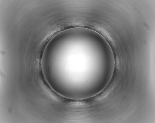 X0000091170449200708091207