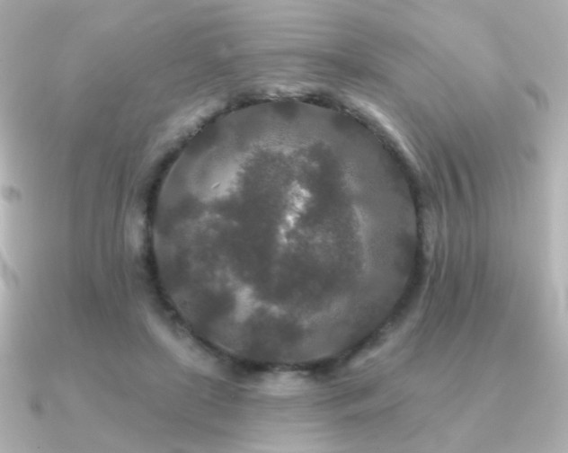 X0000091170451200708091207