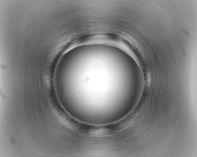 X0000091170452200708091207