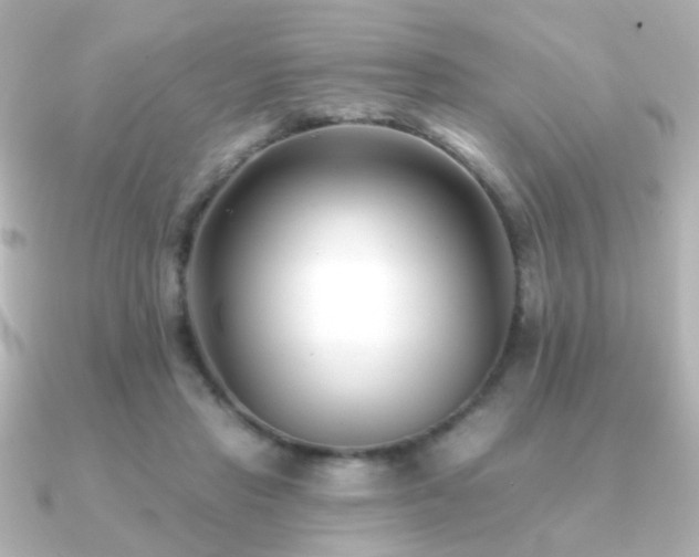 X0000091170453200708091207