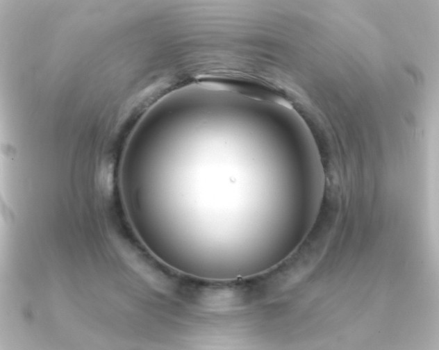 X0000091170454200708091207