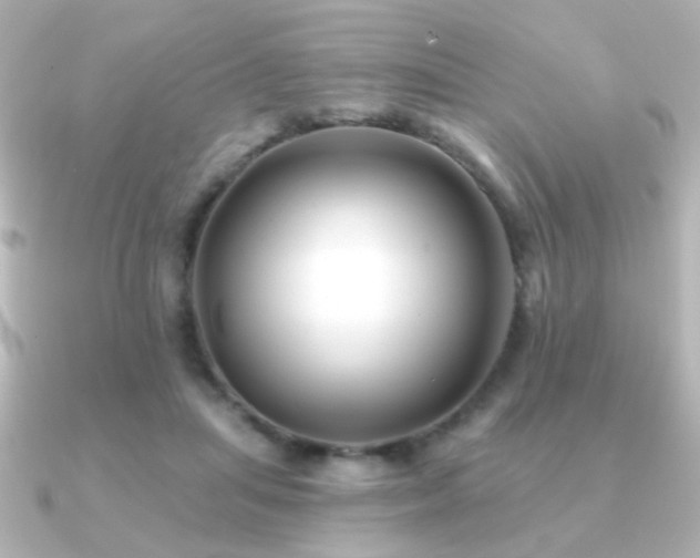 X0000091170455200708091207