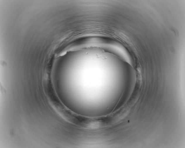 X0000091170456200708091207