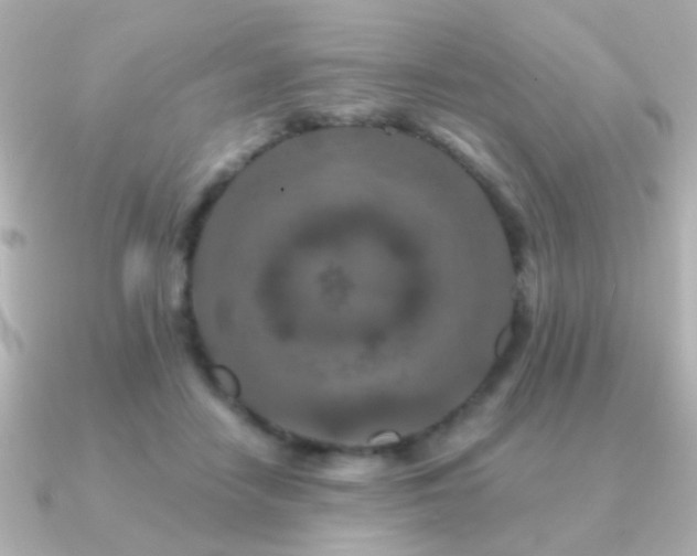 X0000091170458200708091207
