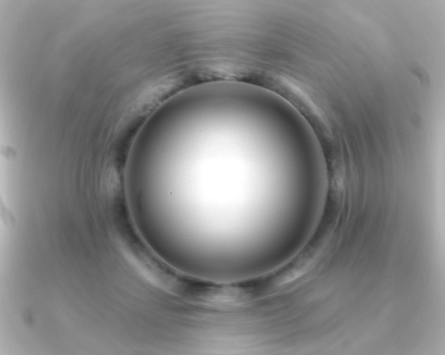 X0000091170459200708091207