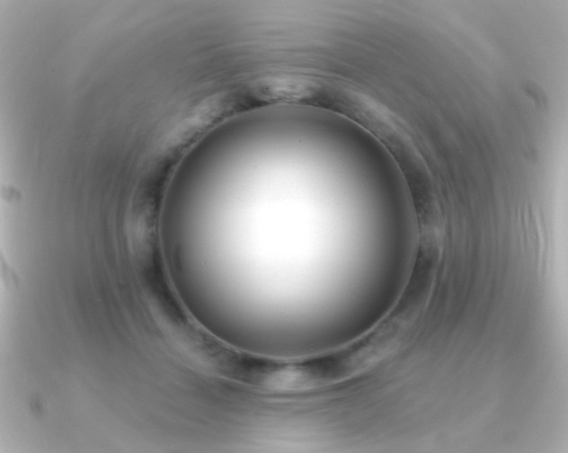 X0000091170460200708091207