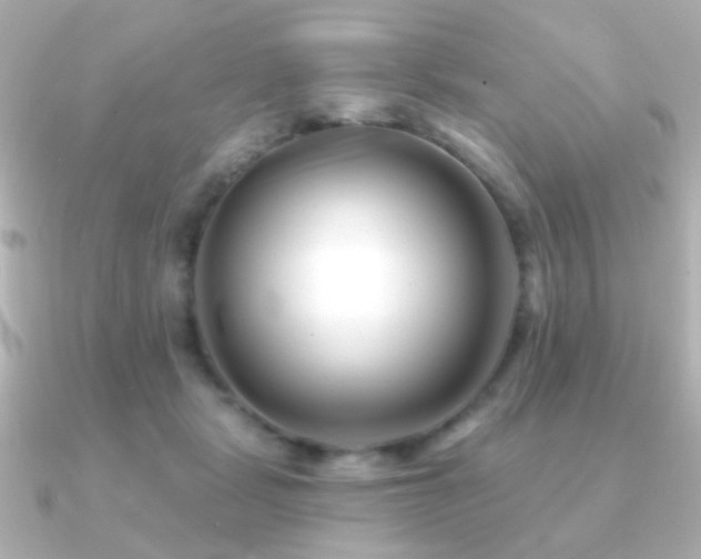 X0000091170461200708091207
