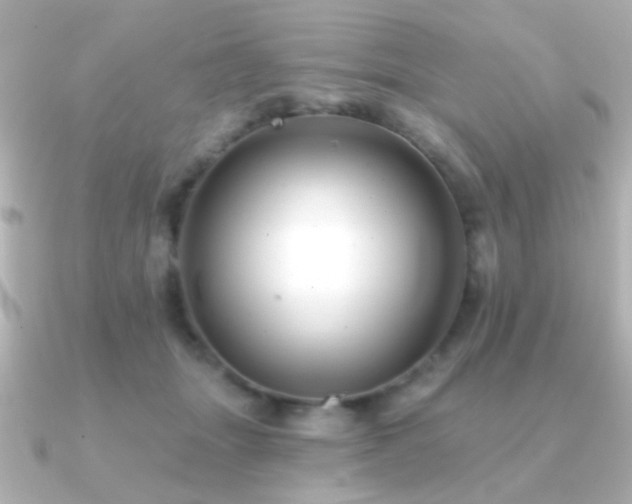 X0000091170463200708091207