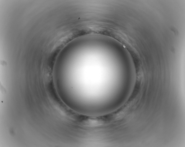 X0000091170464200708091207