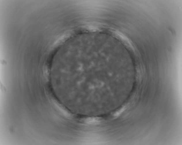X0000091170465200708091207