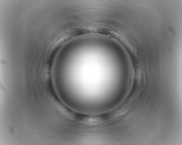 X0000091170466200708091207
