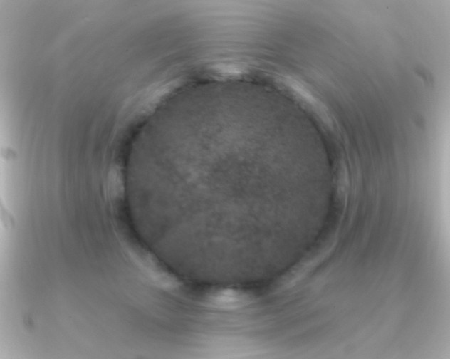 X0000091170467200708091207