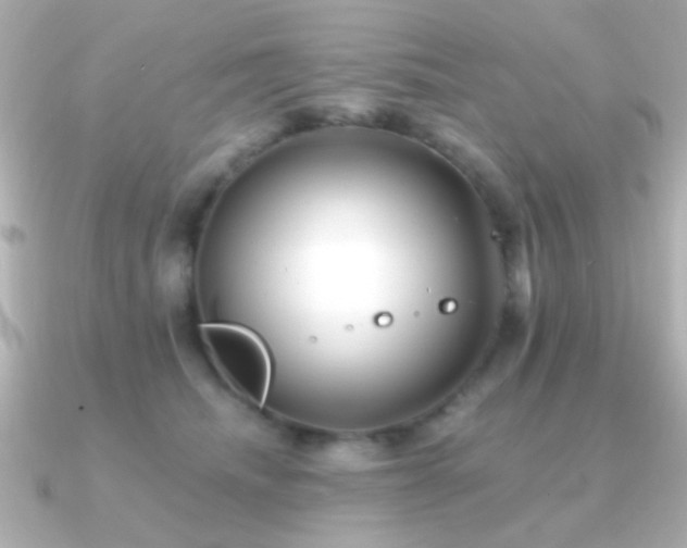 X0000091170468200708091207