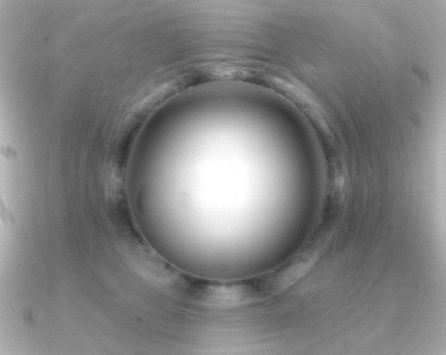 X0000091170469200708091207