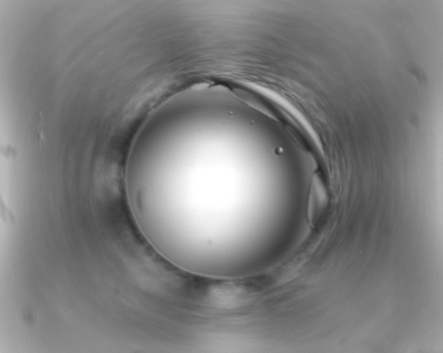 X0000091170470200708091207