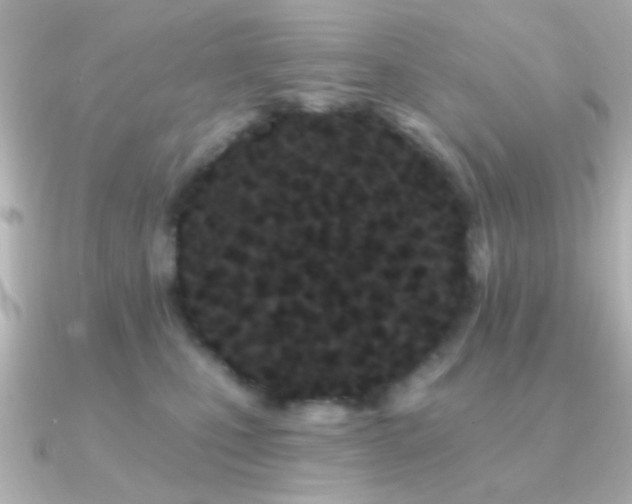 X0000091170471200708091207